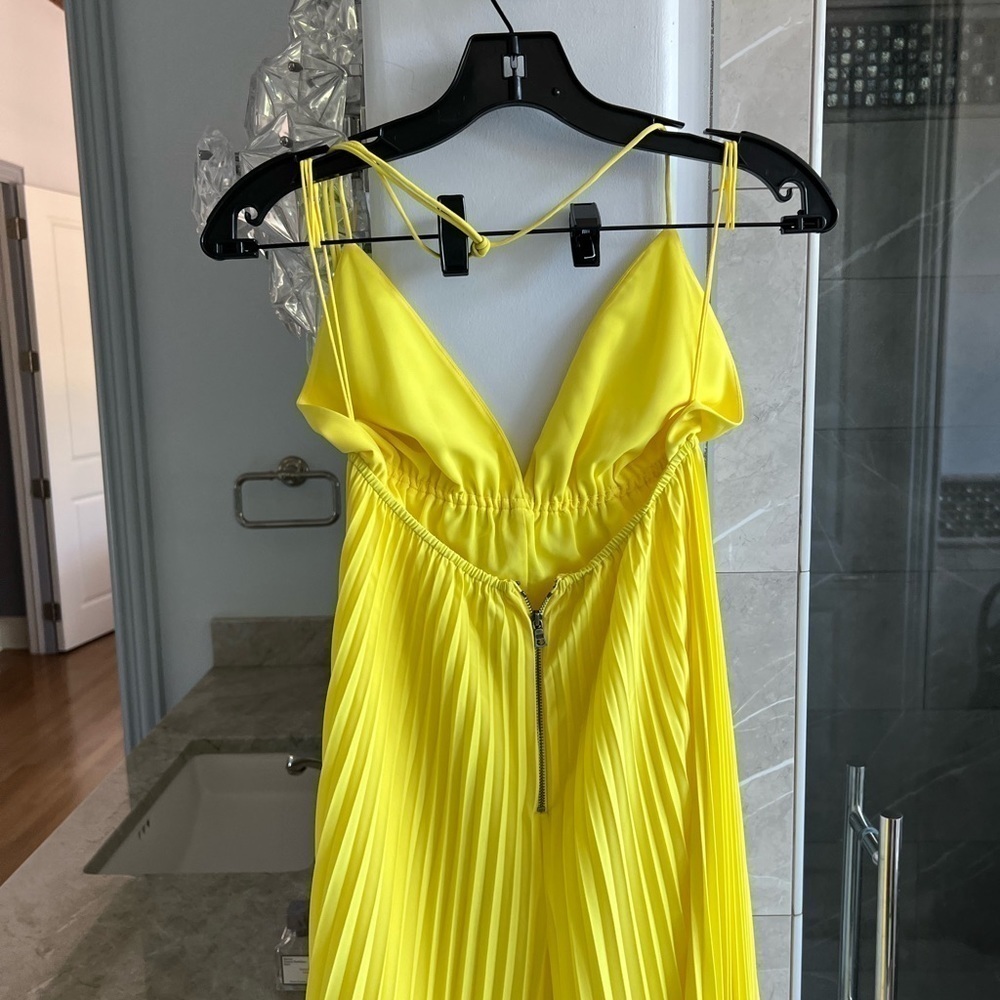 ALICE + OLIVIA Adalyn Pleated Halter Jumpsuit - Picture 11 of 13